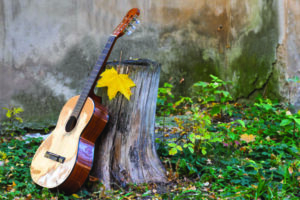عکس گیتار در پاییز